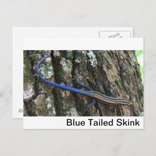 Blauwe snuffel Sluiten Briefkaart (Voorkant / Achterkant)