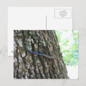 Blauwe snuif briefkaart (Voorkant / Achterkant)