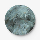 Blauwe sparren grijs groen rustieke natuur papieren bordje (Voorkant)