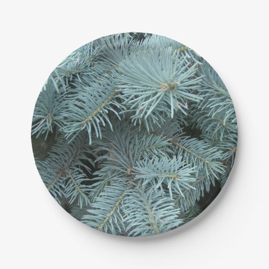Blauwe sparren grijs groen rustieke natuur papieren bordje (Voorkant)
