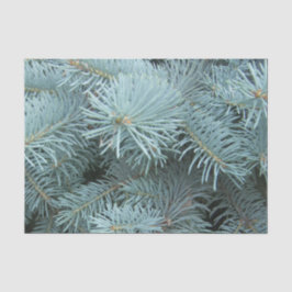 Blauwe sparren grijze winter tissuepapier