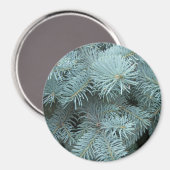 Blauwe sparren groenblijvende boom magneet (Voorkant / Achterkant)
