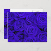 Blauwe Spectaculaire Rozen Briefkaart (Voorkant / Achterkant)