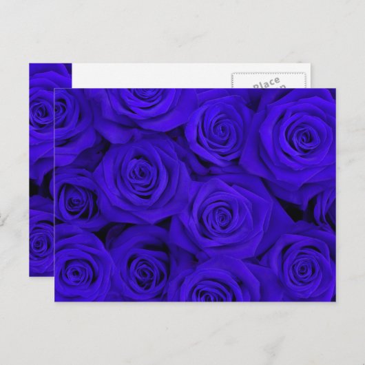 Blauwe Spectaculaire Rozen Briefkaart (Voorkant / Achterkant)