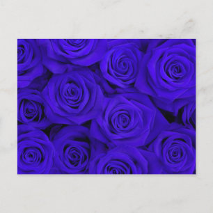 Blauwe Spectaculaire Rozen Briefkaart