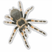 Blauwe spin sticker (Voorkant)