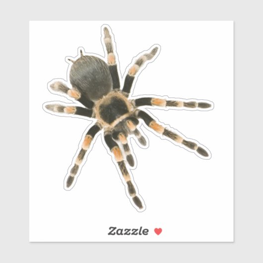 Blauwe spin sticker (Vel)