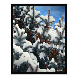 Blauwe Spruce Sneeuwkegels Volledige Kleur Wall Ar Foto Afdruk