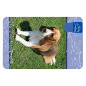 Blauwe staart & Vlaamse prettige kerstmagneet Magneet (Horizontaal)