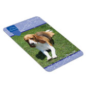 Blauwe staart & Vlaamse prettige kerstmagneet Magneet (Rechterzijde)