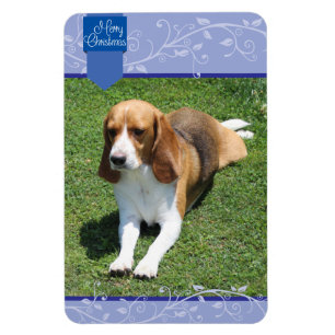 Blauwe staart & Vlaamse prettige kerstmagneet Magneet