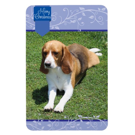 Blauwe staart & Vlaamse prettige kerstmagneet Magneet (Verticaal)