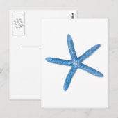 Blauwe staartvis briefkaart (Voorkant / Achterkant)