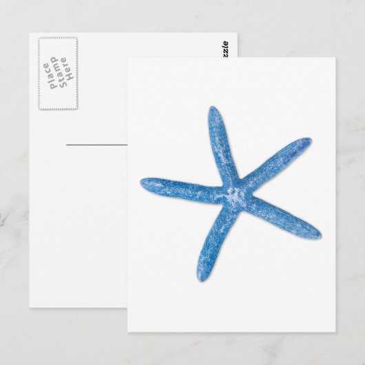 Blauwe staartvis briefkaart (Voorkant / Achterkant)