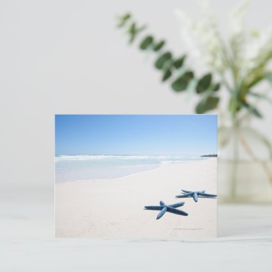 Blauwe staartvis briefkaart (Staand voorkant)