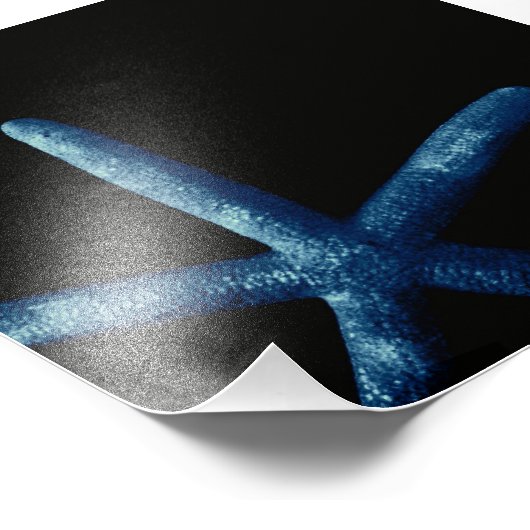 Blauwe staartvis foto afdruk (Hoek)