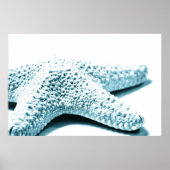 Blauwe staartvis poster (Voorkant)