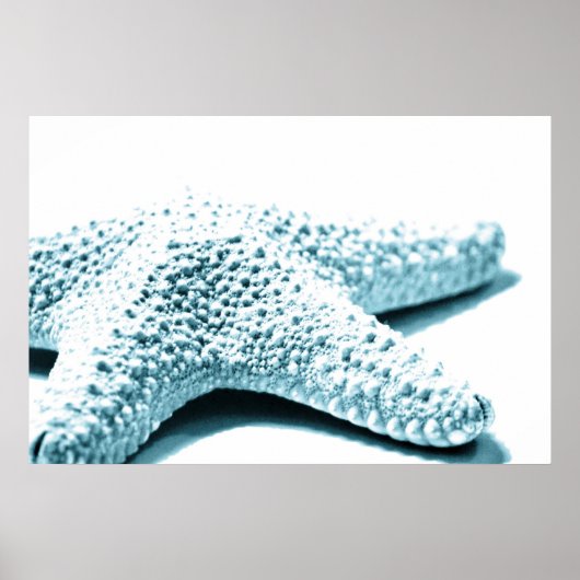 Blauwe staartvis poster (Voorkant)