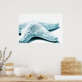 Blauwe staartvis poster (Keuken)