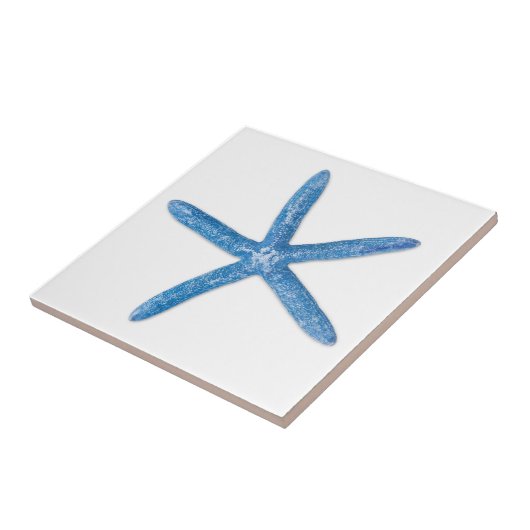 Blauwe staartvis tegeltje (Zijkant)