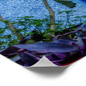 Blauwe stad, Chefchauan Poster (Hoek)