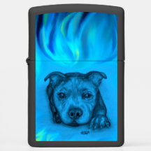 Blauwe Staffy Puppy