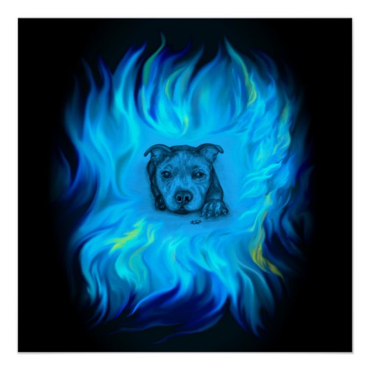 Blauwe Staffy Puppy Perfect Poster (Voorkant)