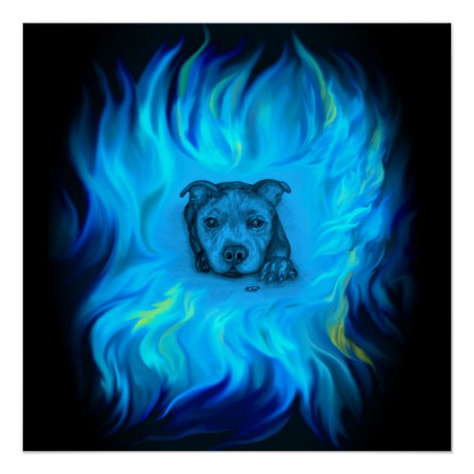 Blauwe Staffy Puppy Perfect Poster (Voorkant)