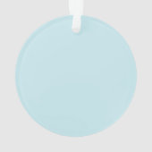 Blauwe Stam Schildpad Ornament (achterkant)