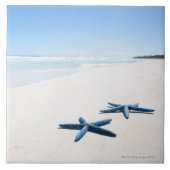 Blauwe Starvis Tegeltje (Voorkant)