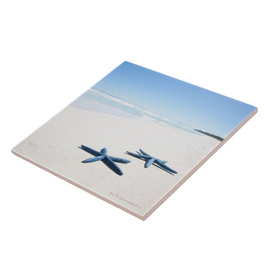 Blauwe Starvis Tegeltje (Zijkant)