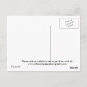 Blauwe ster briefkaart (Achterkant)