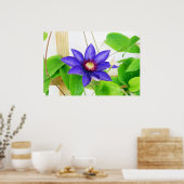 blauwe ster poster (Keuken)
