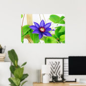 blauwe ster poster (Thuiskantoor)
