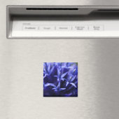 blauwe sterren magneet (Insitu (Vaatwasser))