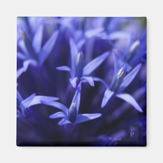 blauwe sterren magneet (Voorkant)