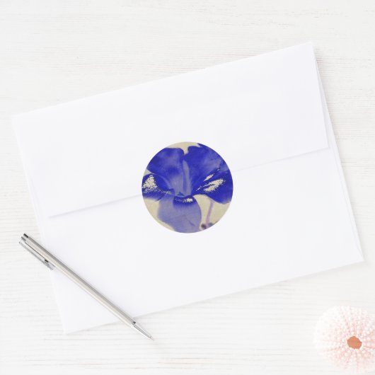 Blauwe Stickers (Envelop)