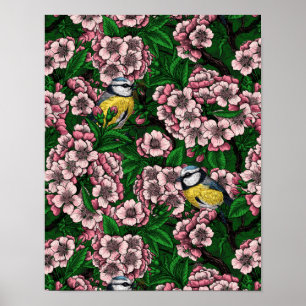 Blauwe stietvogels in de bloeiende kersenboom op g poster