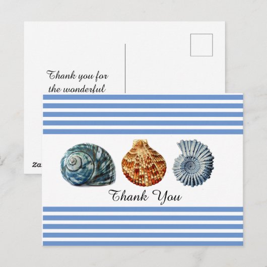 Blauwe streep met Briefkaart op zeedoppen (Voorkant / Achterkant)