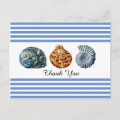 Blauwe streep met Briefkaart op zeedoppen (Voorkant)