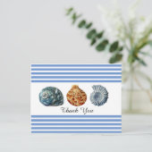 Blauwe streep met zeeschelpen ansichtkaart briefkaart (Staand voorkant)