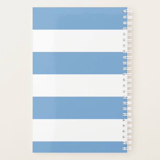 Blauwe streep planner (Achterkant)