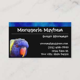 Blauwe streep Rainbow Loriket Visitekaartjes