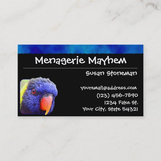Blauwe streep Rainbow Loriket Visitekaartjes (Voorkant)