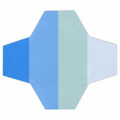 Blauwe strepen voetbal (Enkel)