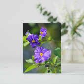 Blauwe Struik Briefkaart (Staand voorkant)