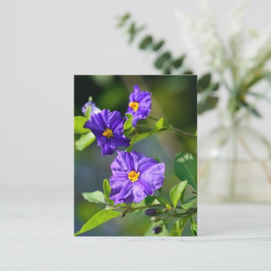 Blauwe Struik Briefkaart (Staand voorkant)