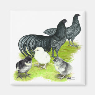 Blauwe Sumatra Familie Magneet