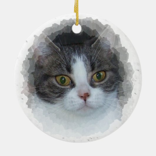 Blauwe tabby en wit keramisch ornament (Achterkant)