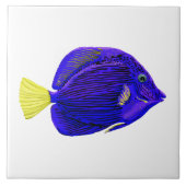 Blauwe tang vis tegeltje (Voorkant)